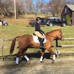 Meet your Posher, Emma